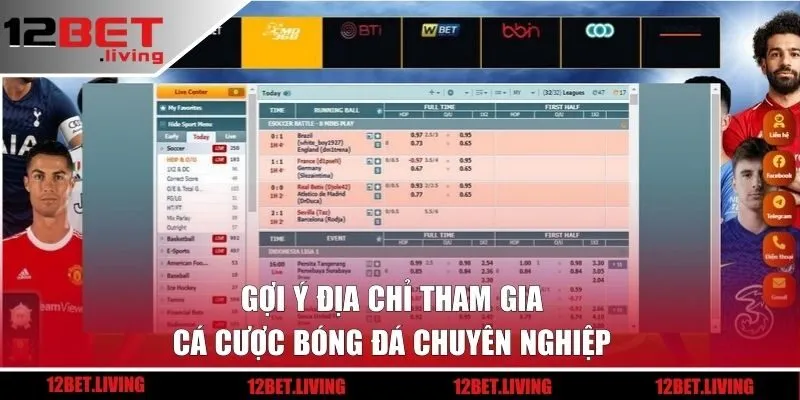 Gợi ý địa chỉ tham gia cá cược bóng đá chuyên nghiệp