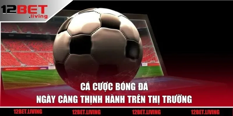 Cá cược bóng đá ngày càng thịnh hành trên thị trường