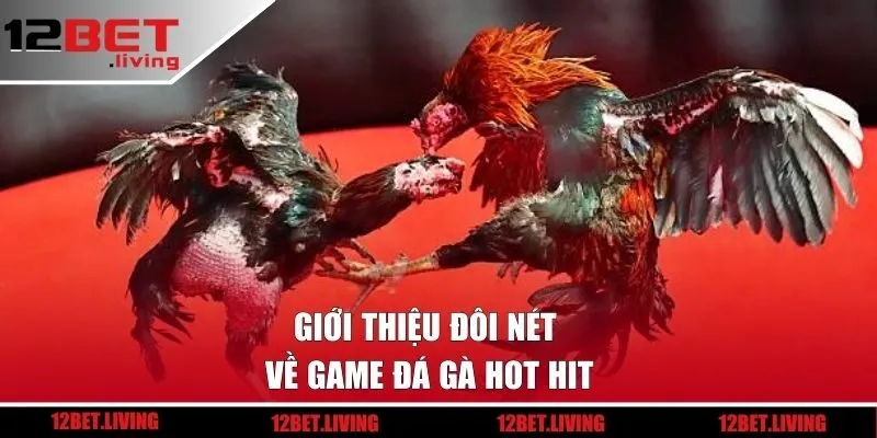 Giới thiệu đôi nét về game đá gà hot hit